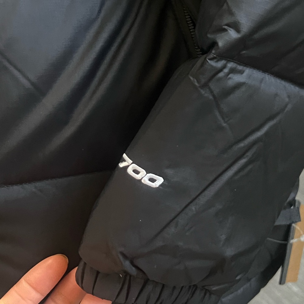 The North Face 700 Black Down Jacket